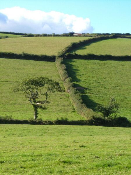 Soubor:Hedgerows.jpg