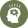 Heuristika afektu (Affect heuristic)
